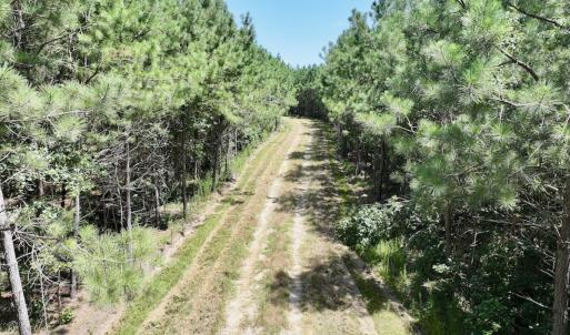 Photo #22 of Off Morning Star Church Road, Battleboro, NC 17.5 acres