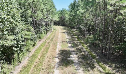 Photo #23 of Off Morning Star Church Road, Battleboro, NC 17.5 acres