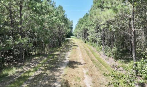 Photo #24 of Off Morning Star Church Road, Battleboro, NC 17.5 acres
