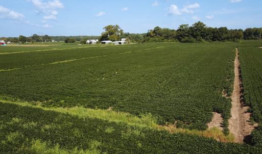 Photo #12 of Off of Ballahack Rd, Chesapeake, VA 11.8 acres