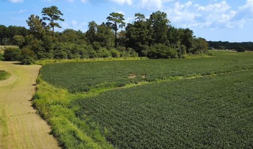 Photo #13 of Off of Ballahack Rd, Chesapeake, VA 11.8 acres