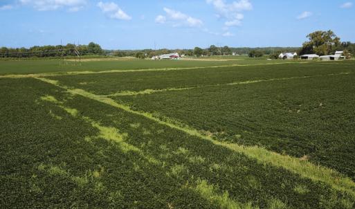 Photo #14 of Off of Ballahack Rd, Chesapeake, VA 11.8 acres