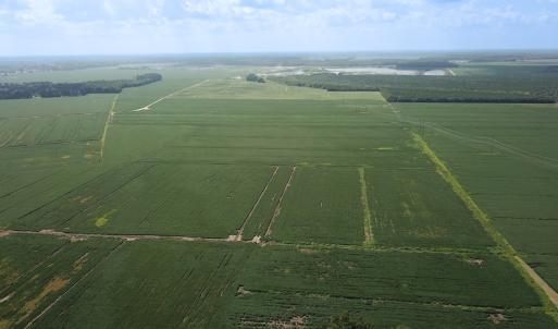 Photo #15 of Off of Ballahack Rd, Chesapeake, VA 11.8 acres