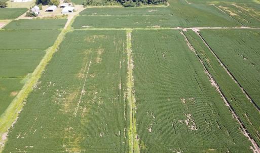 Photo #17 of Off of Ballahack Rd, Chesapeake, VA 11.8 acres
