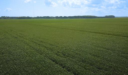 Photo #19 of Off of Ballahack Rd, Chesapeake, VA 11.8 acres