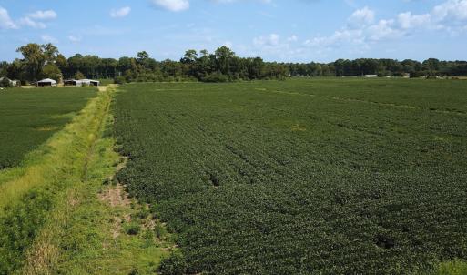 Photo #20 of Off of Ballahack Rd, Chesapeake, VA 11.8 acres