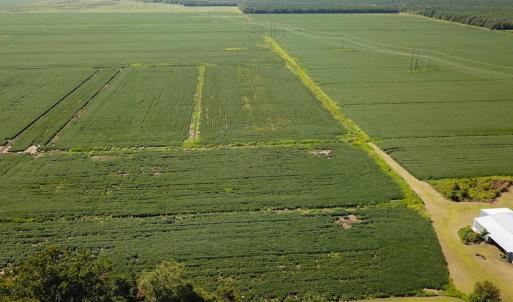 Photo #21 of Off of Ballahack Rd, Chesapeake, VA 11.8 acres