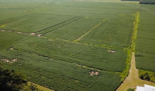 Photo #1 of Off of Ballahack Rd, Chesapeake, VA 11.8 acres