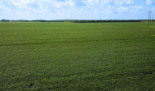 Photo #2 of Off of Ballahack Rd, Chesapeake, VA 11.8 acres