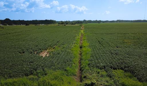 Photo #24 of Off of Ballahack Rd, Chesapeake, VA 11.8 acres