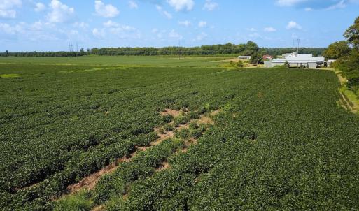 Photo #27 of Off of Ballahack Rd, Chesapeake, VA 11.8 acres