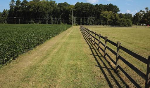 Photo #3 of Off of Ballahack Rd, Chesapeake, VA 11.8 acres
