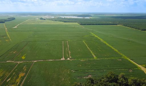 Photo #5 of Off of Ballahack Rd, Chesapeake, VA 11.8 acres