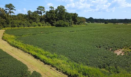 Photo #6 of Off of Ballahack Rd, Chesapeake, VA 11.8 acres