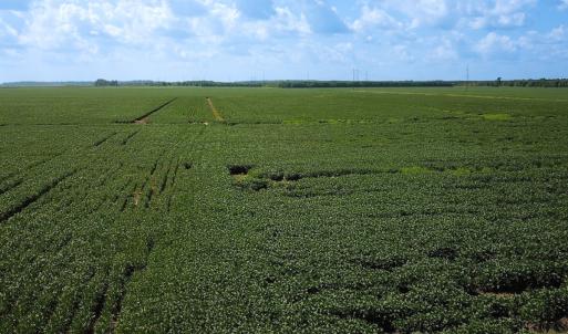 Photo #7 of Off of Ballahack Rd, Chesapeake, VA 11.8 acres