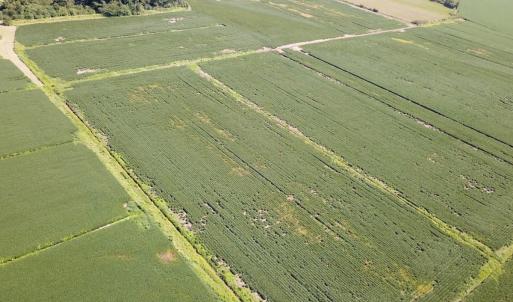 Photo #9 of Off of Ballahack Rd, Chesapeake, VA 11.8 acres