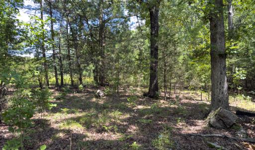 Photo #6 of Off of Oxford Rd/Robert Ladd Dr, Rougemont, NC 27.3 acres