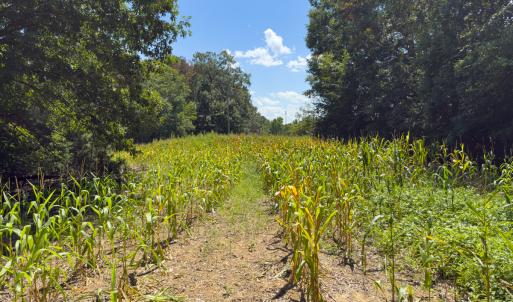 Photo #8 of Off of Oxford Rd/Robert Ladd Dr, Rougemont, NC 27.3 acres