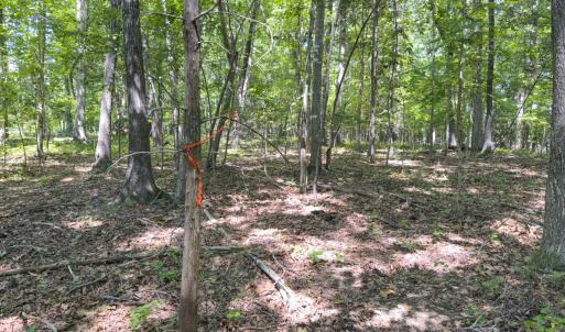 Photo #9 of Off of Oxford Rd/Robert Ladd Dr, Rougemont, NC 27.3 acres