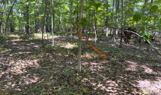 Photo #13 of Off of Oxford Rd/Robert Ladd Dr, Rougemont, NC 27.3 acres