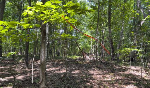 Photo #15 of Off of Oxford Rd/Robert Ladd Dr, Rougemont, NC 27.3 acres