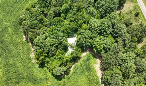Photo #16 of Off of Oxford Rd/Robert Ladd Dr, Rougemont, NC 27.3 acres