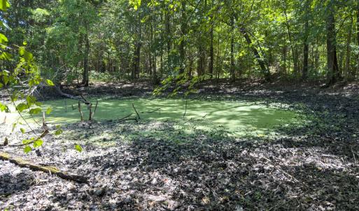 Photo #17 of Off of Oxford Rd/Robert Ladd Dr, Rougemont, NC 27.3 acres