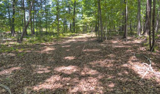 Photo #18 of Off of Oxford Rd/Robert Ladd Dr, Rougemont, NC 27.3 acres