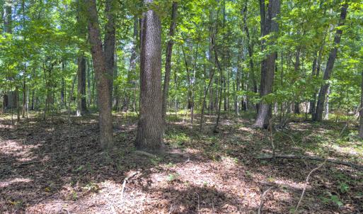 Photo #20 of Off of Oxford Rd/Robert Ladd Dr, Rougemont, NC 27.3 acres