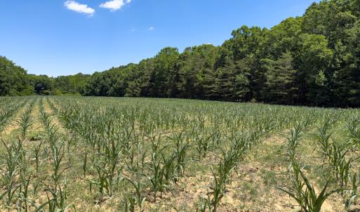 Photo #26 of Off of Oxford Rd/Robert Ladd Dr, Rougemont, NC 27.3 acres