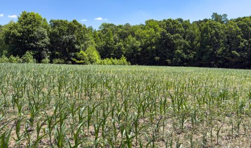 Photo #30 of Off of Oxford Rd/Robert Ladd Dr, Rougemont, NC 27.3 acres