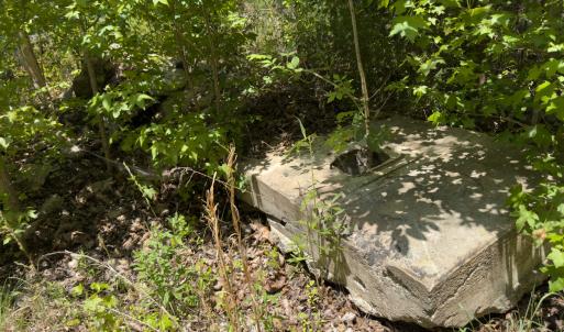 Photo #32 of Off of Oxford Rd/Robert Ladd Dr, Rougemont, NC 27.3 acres