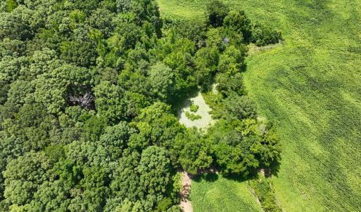 Photo #36 of Off of Oxford Rd/Robert Ladd Dr, Rougemont, NC 27.3 acres