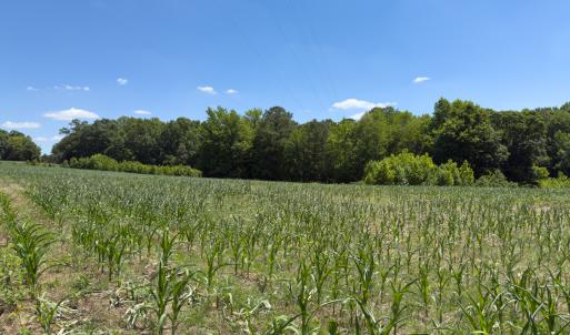 Photo #37 of Off of Oxford Rd/Robert Ladd Dr, Rougemont, NC 27.3 acres