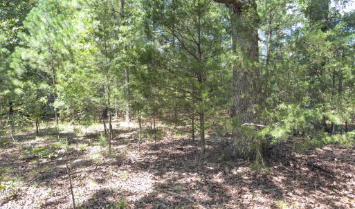 Photo #45 of Off of Oxford Rd/Robert Ladd Dr, Rougemont, NC 27.3 acres