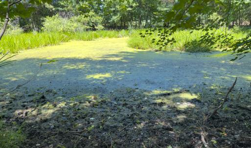Photo #47 of Off of Oxford Rd/Robert Ladd Dr, Rougemont, NC 27.3 acres