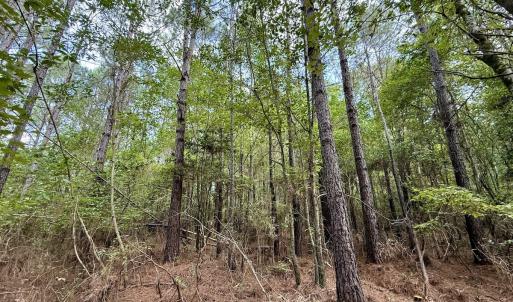 Photo #10 of Lot 5 Cupelo Rd, Farmville, NC 9.6 acres