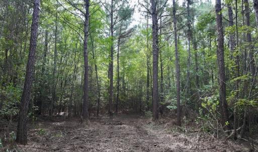 Photo #11 of Lot 5 Cupelo Rd, Farmville, NC 9.6 acres