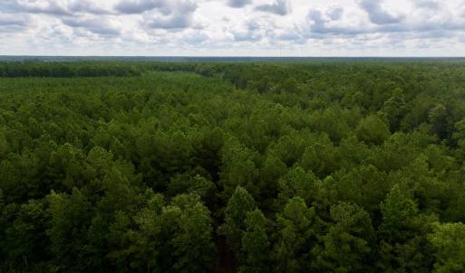 Photo #2 of Lot 5 Cupelo Rd, Farmville, NC 9.6 acres