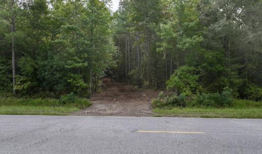 Photo #4 of Lot 5 Cupelo Rd, Farmville, NC 9.6 acres