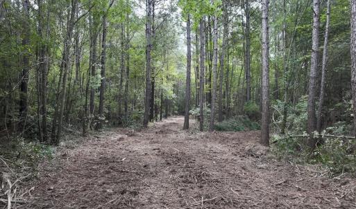Photo #5 of Lot 5 Cupelo Rd, Farmville, NC 9.6 acres