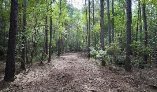 Photo #6 of Lot 5 Cupelo Rd, Farmville, NC 9.6 acres