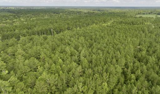 Photo #7 of Lot 5 Cupelo Rd, Farmville, NC 9.6 acres