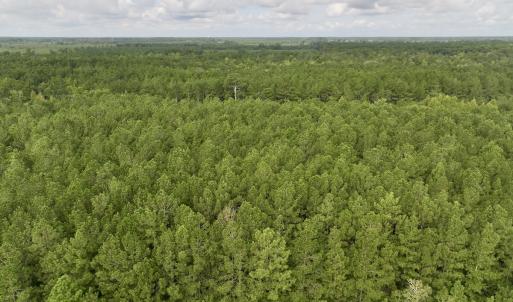 Photo #8 of Lot 5 Cupelo Rd, Farmville, NC 9.6 acres