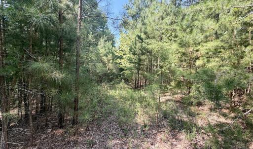 Photo #13 of Lot 98A Greenberry DR, Pittsville, VA 1.9 acres