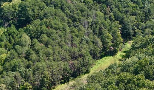 Photo #16 of Lot 98A Greenberry DR, Pittsville, VA 1.9 acres