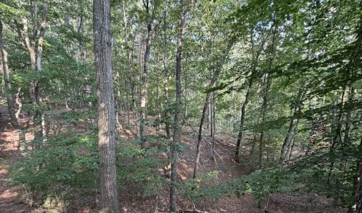 Photo #17 of Lot 98A Greenberry DR, Pittsville, VA 1.9 acres