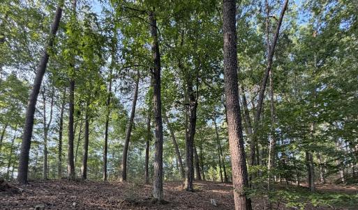 Photo #18 of Lot 98A Greenberry DR, Pittsville, VA 1.9 acres