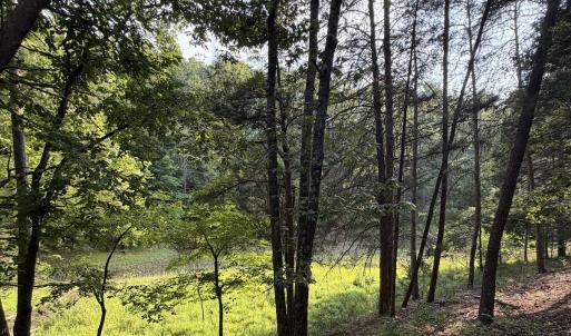 Photo #19 of Lot 98A Greenberry DR, Pittsville, VA 1.9 acres