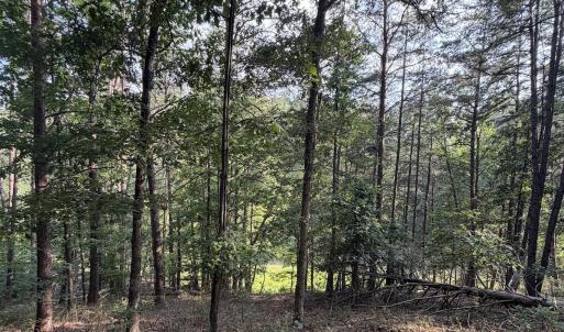 Photo #20 of Lot 98A Greenberry DR, Pittsville, VA 1.9 acres